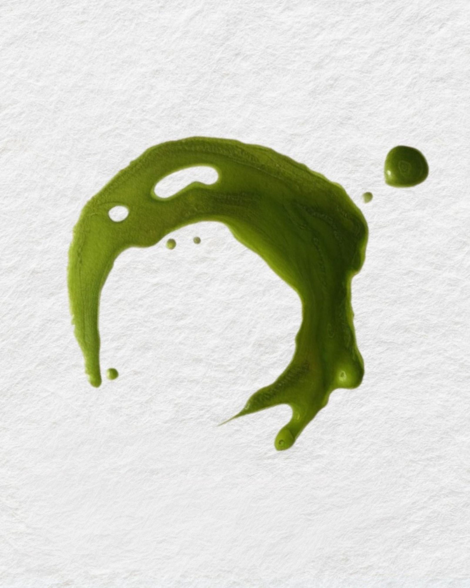 Camelia Sinensis matcha detail